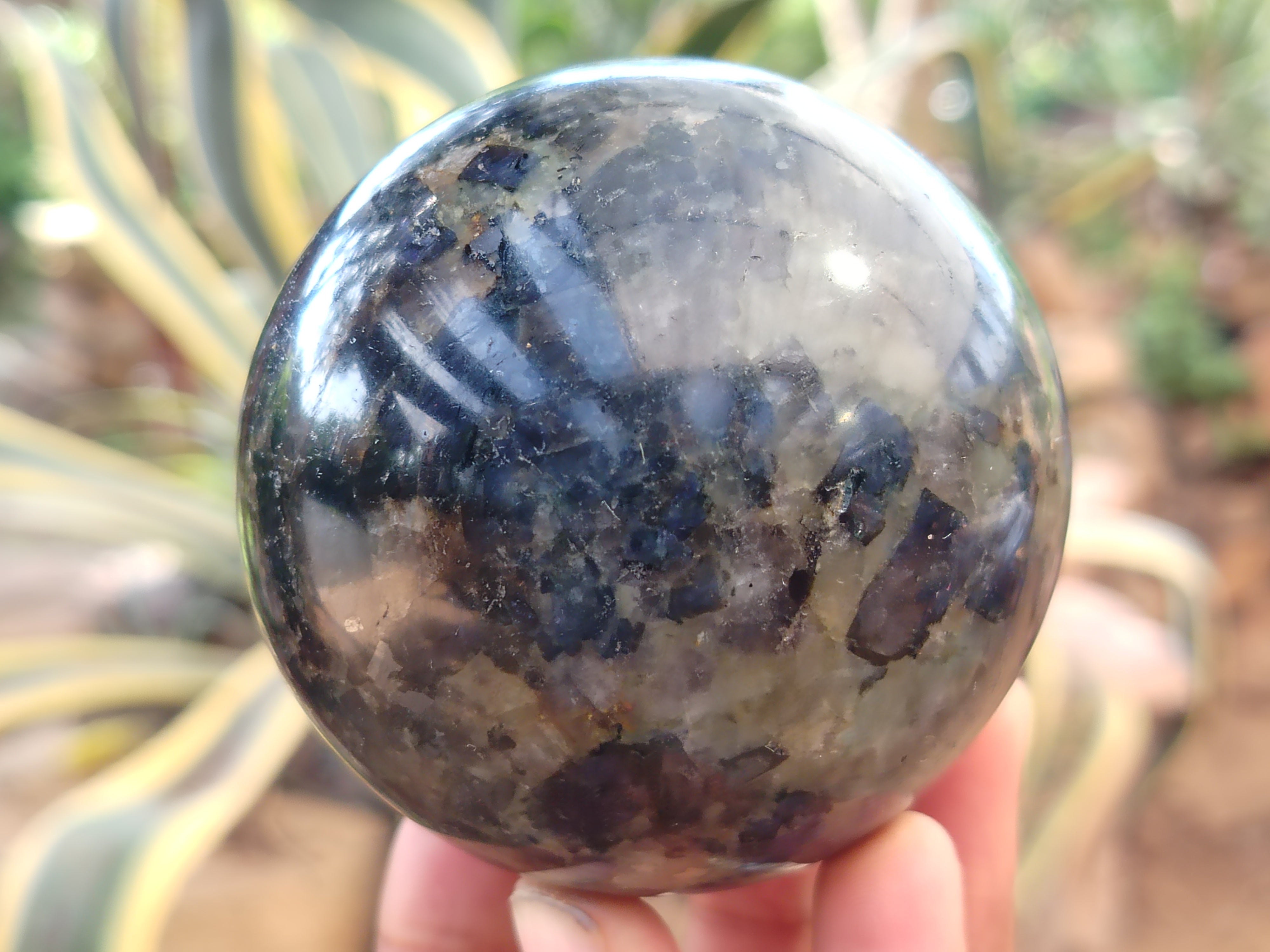 Polished Iolite Spheres x 4 From Ambatofinandrahana, Madagascar