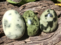 Polished Leopard Stone Gemstone Eggs x 6 From Zimbabwe