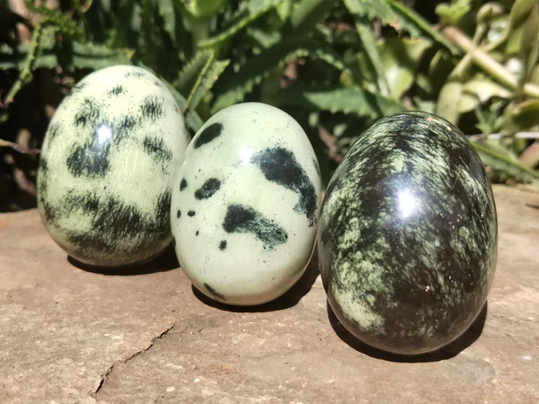 Polished Leopard Stone Gemstone Eggs x 6 From Zimbabwe