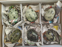 Polished Leopard Stone Gemstone Eggs x 6 From Zimbabwe