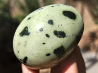 Polished Leopard Stone Gemstone Eggs x 6 From Zimbabwe