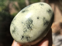 Polished Leopard Stone Gemstone Eggs x 6 From Zimbabwe