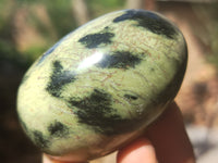 Polished Leopard Stone Gemstone Eggs x 6 From Zimbabwe