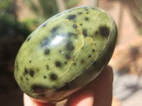 Polished Leopard Stone Gemstone Eggs x 6 From Zimbabwe