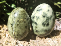 Polished Leopard Stone Gemstone Eggs x 6 From Zimbabwe