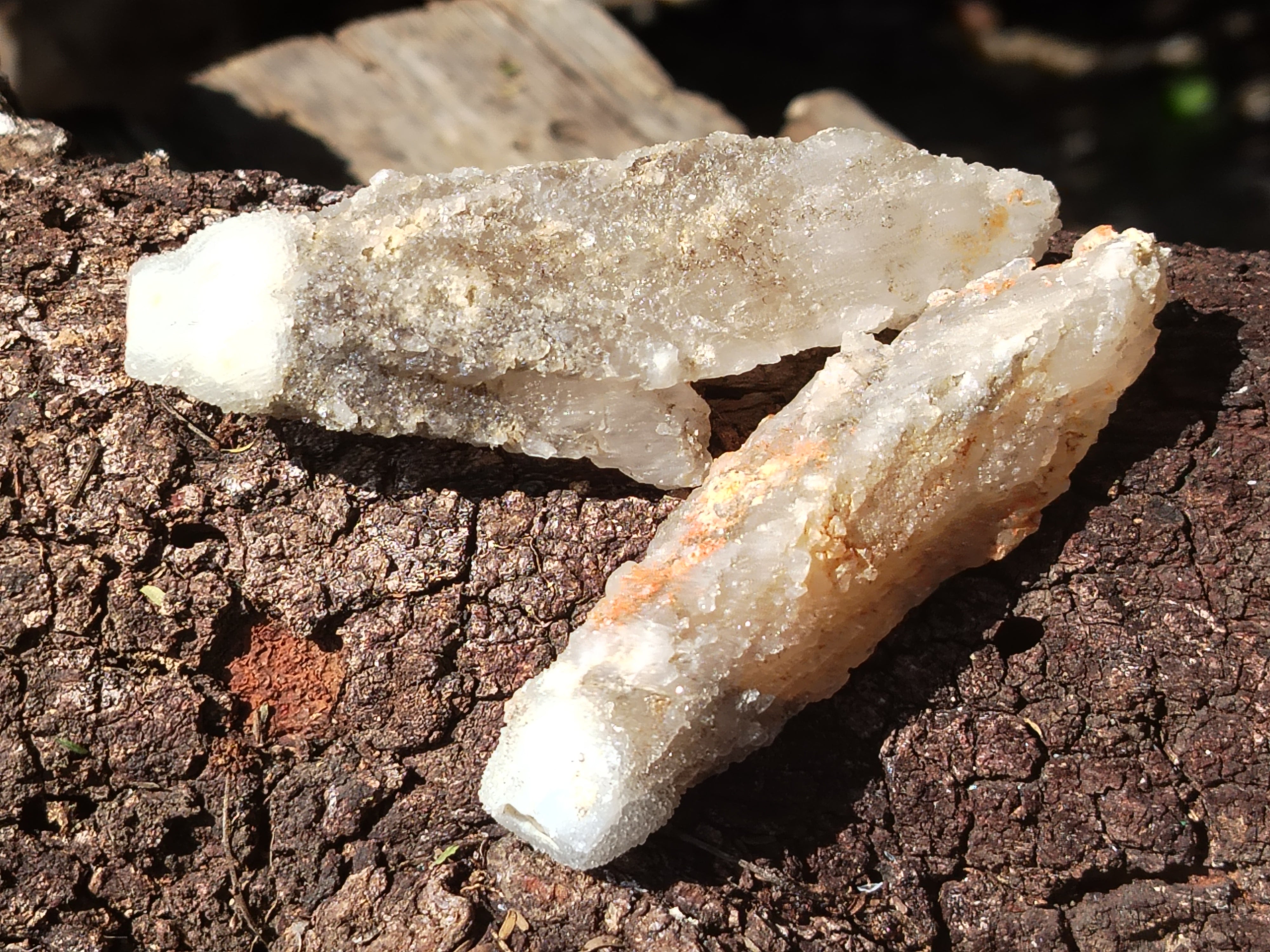 Natural Drusy Quartz Coated Calcite Pseudomorph Specimens x 12 From Alberts Mountain, Lesotho