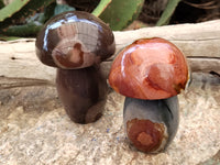 Polished Polychrome Jasper Mushrooms x 6 From Madagascar