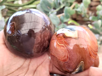 Polished Polychrome Jasper Mushrooms x 6 From Madagascar