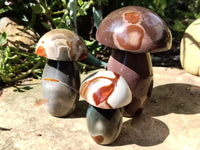 Polished Polychrome Jasper Mushrooms x 6 From Madagascar