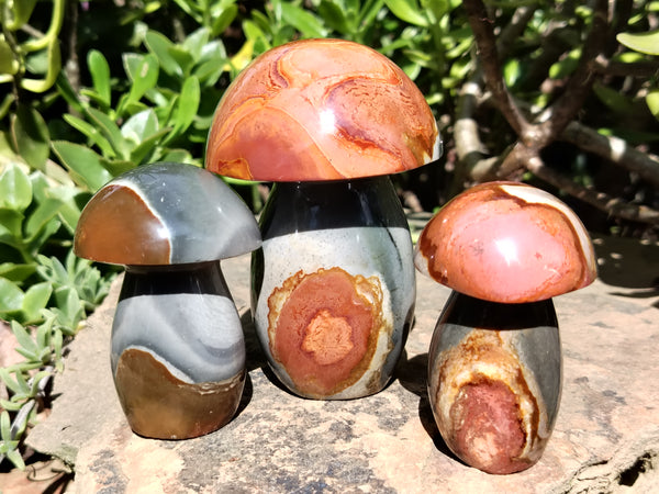 Polished Polychrome Jasper Mushrooms x 6 From Madagascar