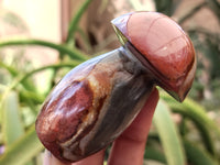 Polished Polychrome Jasper Mushrooms x 6 From Madagascar