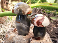 Polished Polychrome Jasper Mushrooms x 6 From Madagascar