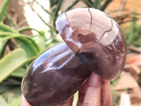 Polished Polychrome Jasper Mushrooms x 6 From Madagascar