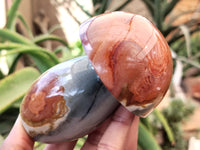 Polished Polychrome Jasper Mushrooms x 6 From Madagascar