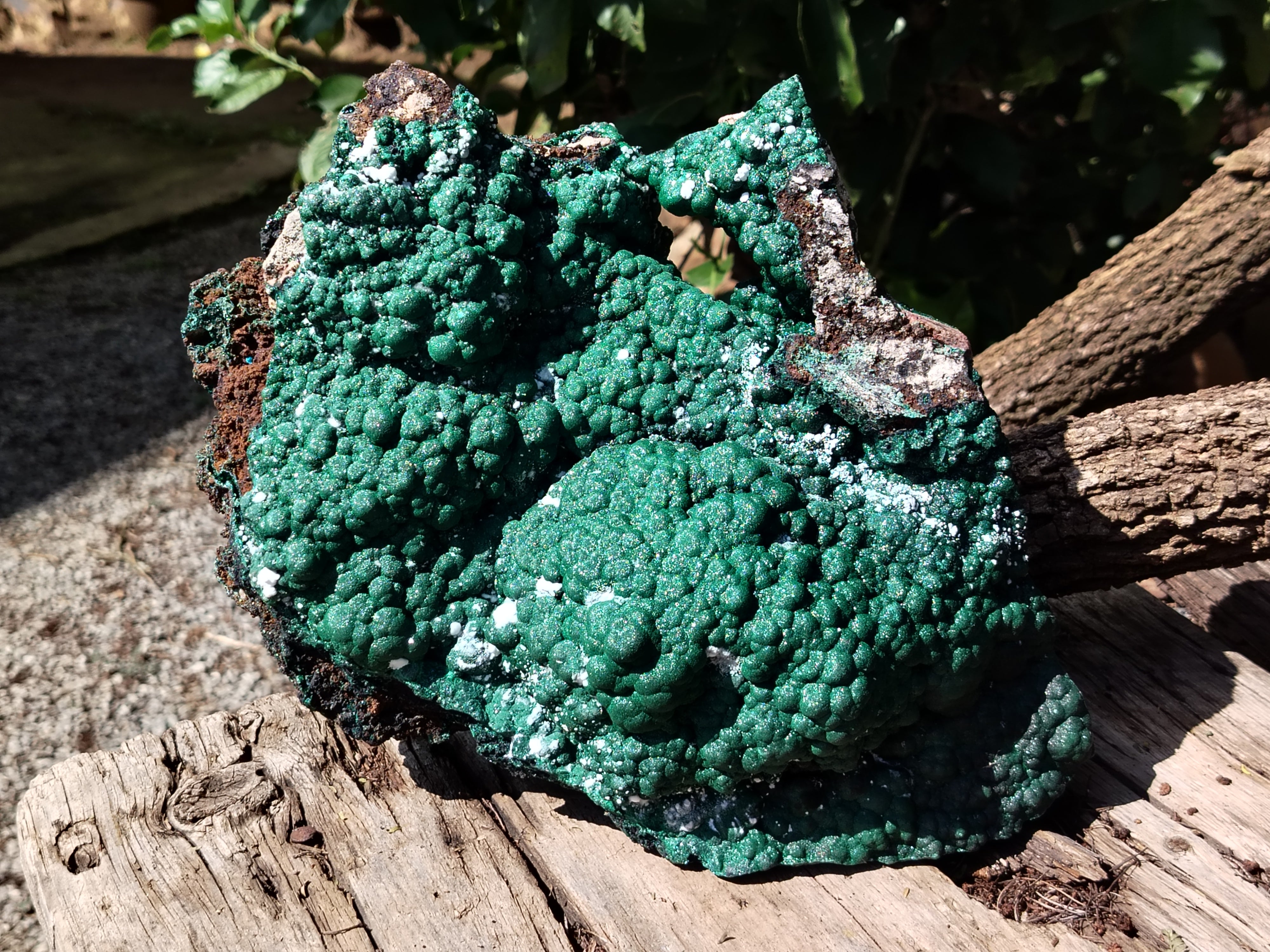 Natural Botryoidal Malachite Specimen x 1 From Congo