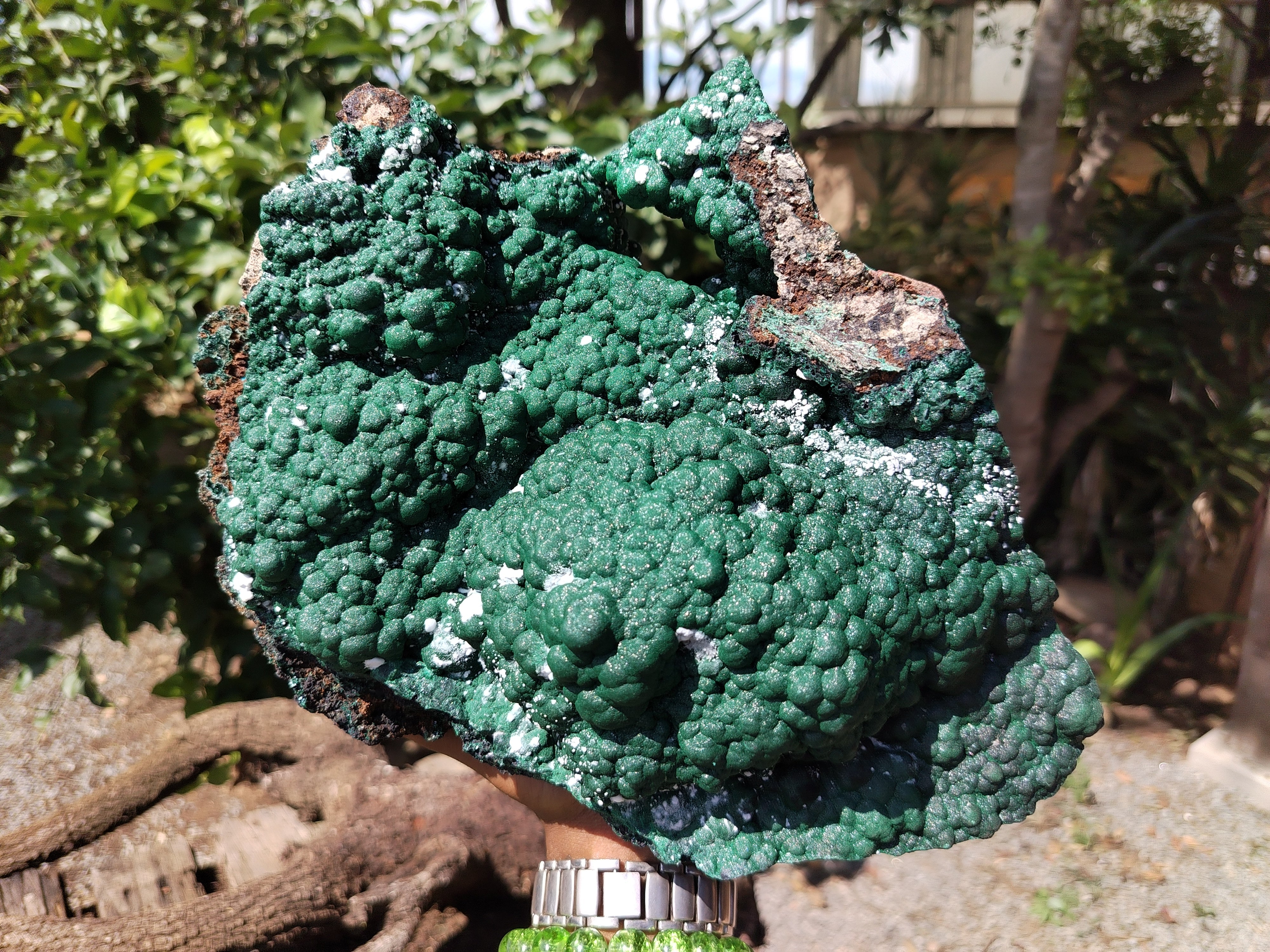 Natural Botryoidal Malachite Specimen x 1 From Congo