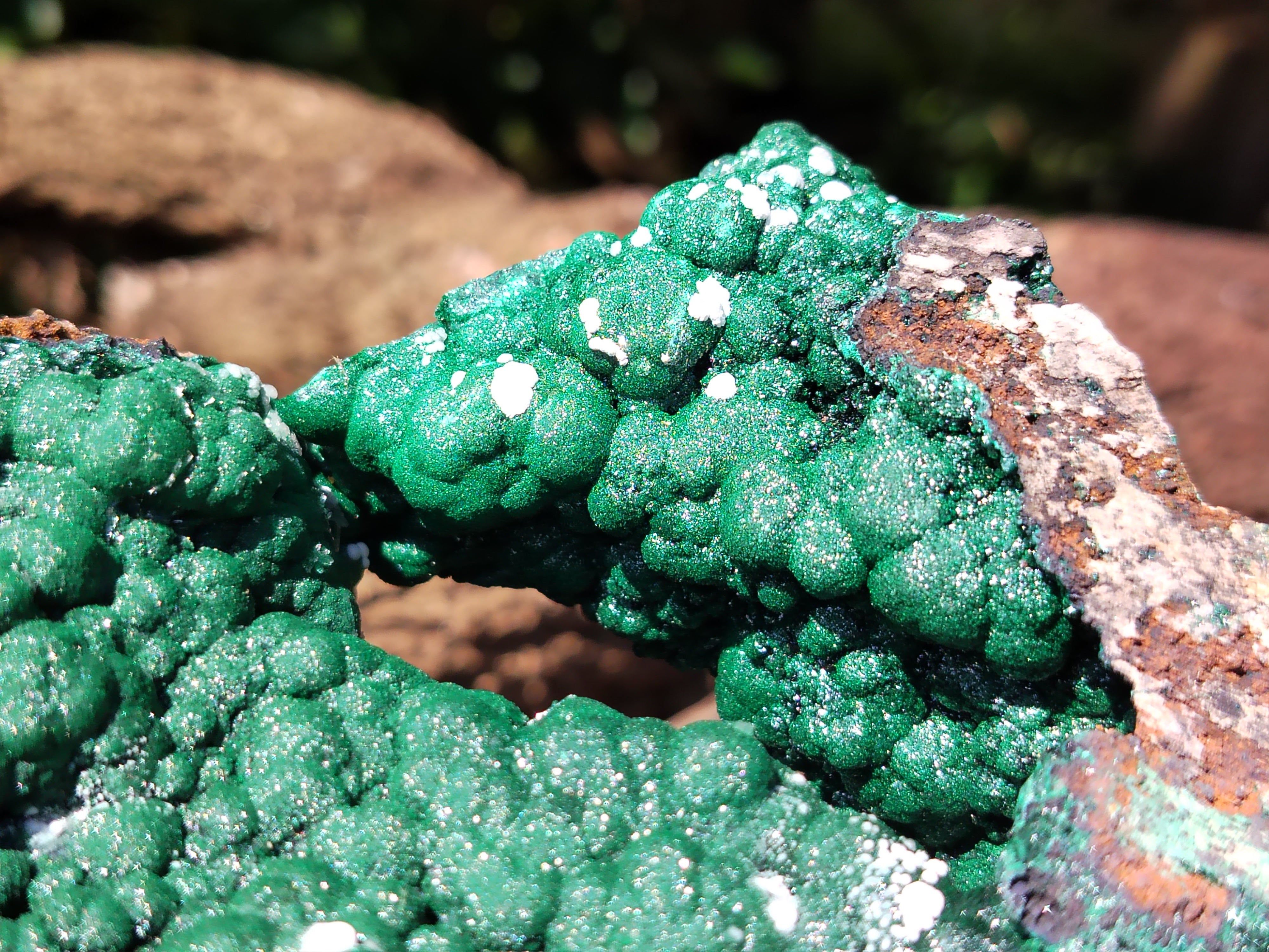 Natural Botryoidal Malachite Specimen x 1 From Congo