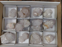 Natural Cactus Flower Spirit Quartz Clusters x 12 From South Africa