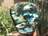 Polished Labradorite Standing Free Forms x 2 From Tulear, Madagascar