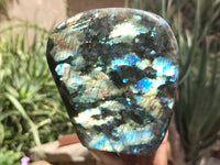 Polished Labradorite Standing Free Forms x 2 From Tulear, Madagascar