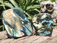 Polished Labradorite Standing Free Forms x 2 From Tulear, Madagascar