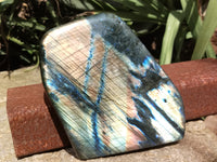 Polished Labradorite Standing Free Forms x 2 From Tulear, Madagascar