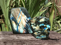 Polished Labradorite Standing Free Forms x 2 From Tulear, Madagascar