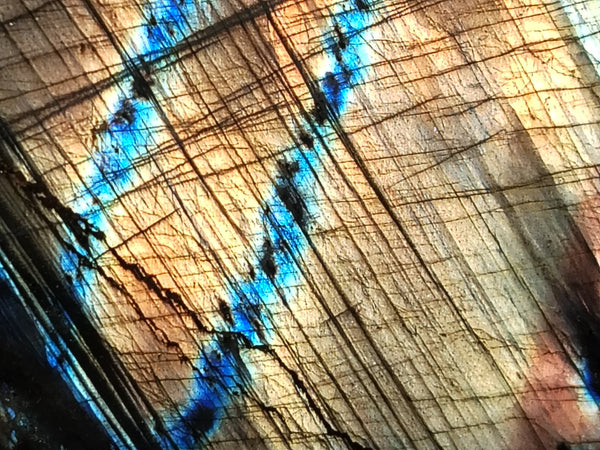 Polished Labradorite Standing Free Forms x 2 From Tulear, Madagascar