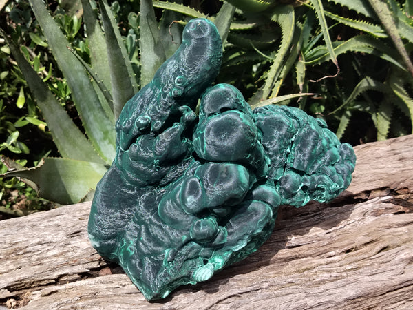 Natural Silky Malachite Stalactite Specimen x 1 From Kasompe, Congo