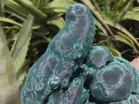 Natural Silky Malachite Stalactite Specimen x 1 From Kasompe, Congo