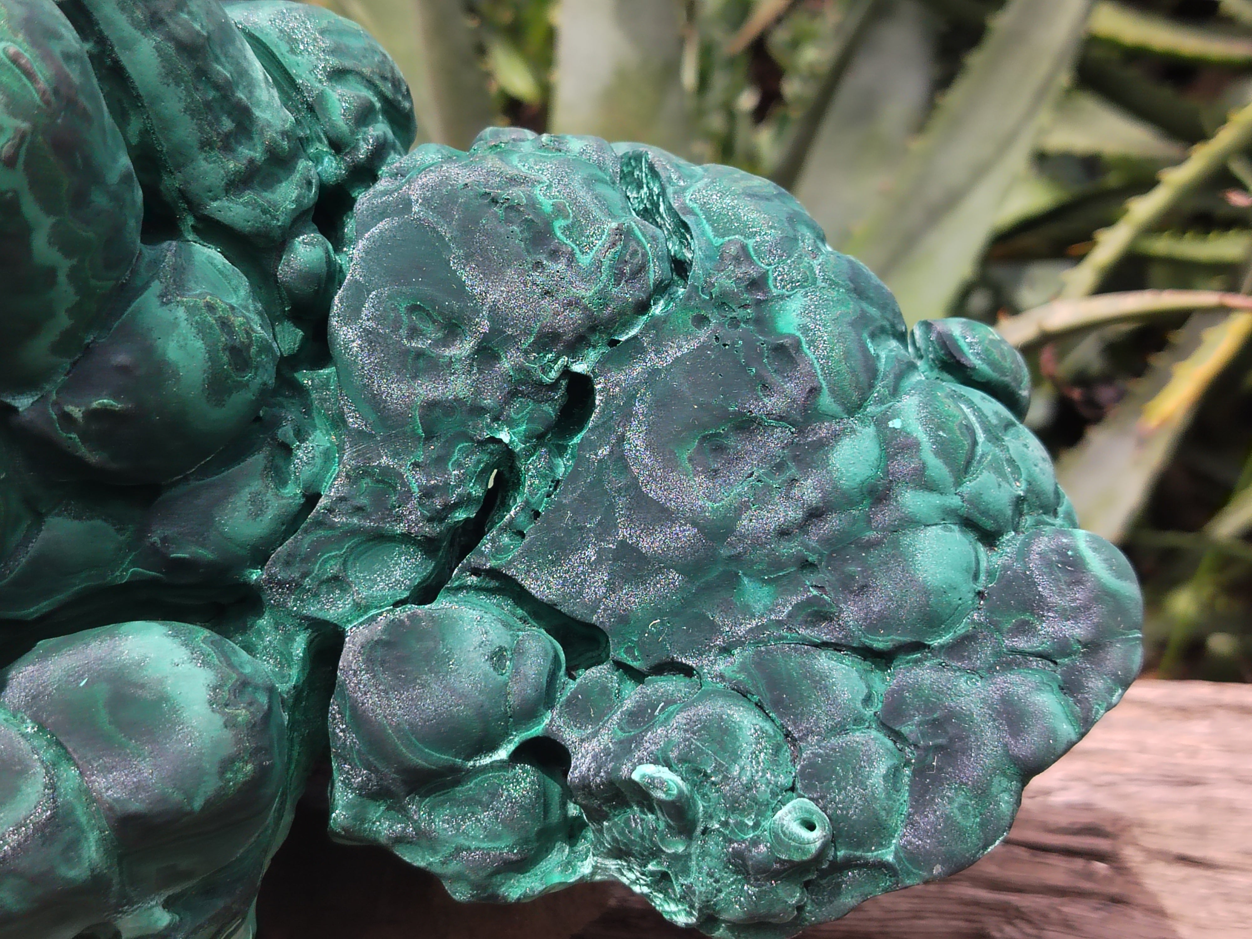 Natural Silky Malachite Stalactite Specimen x 1 From Kasompe, Congo