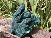 Natural Silky Malachite Stalactite Specimen x 1 From Kasompe, Congo