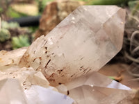 Natural Red Hematoid Quartz Clusters x 2 From Karoi, Zimbabwe