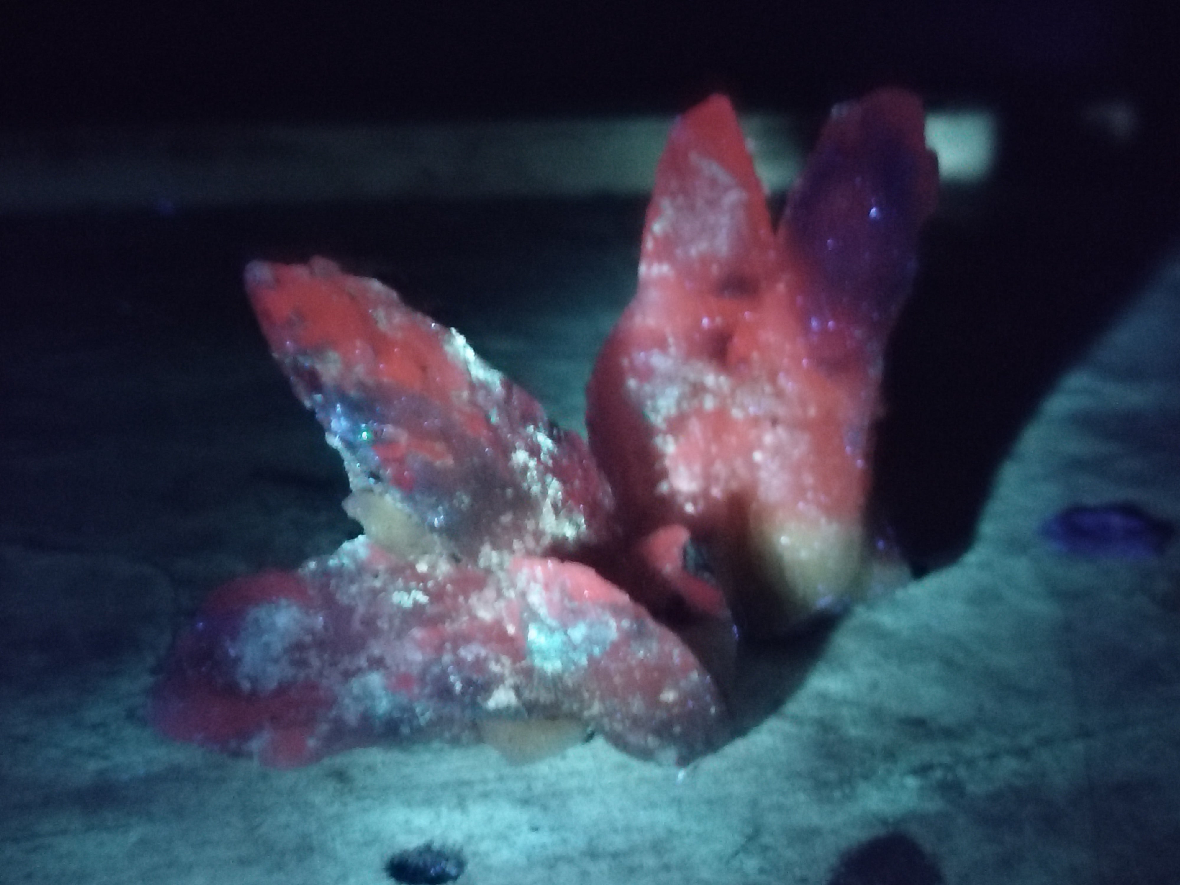 Natural Drusy Quartz Coated Calcite Pseudomorph Specimens x 12 From Alberts Mountain, Lesotho