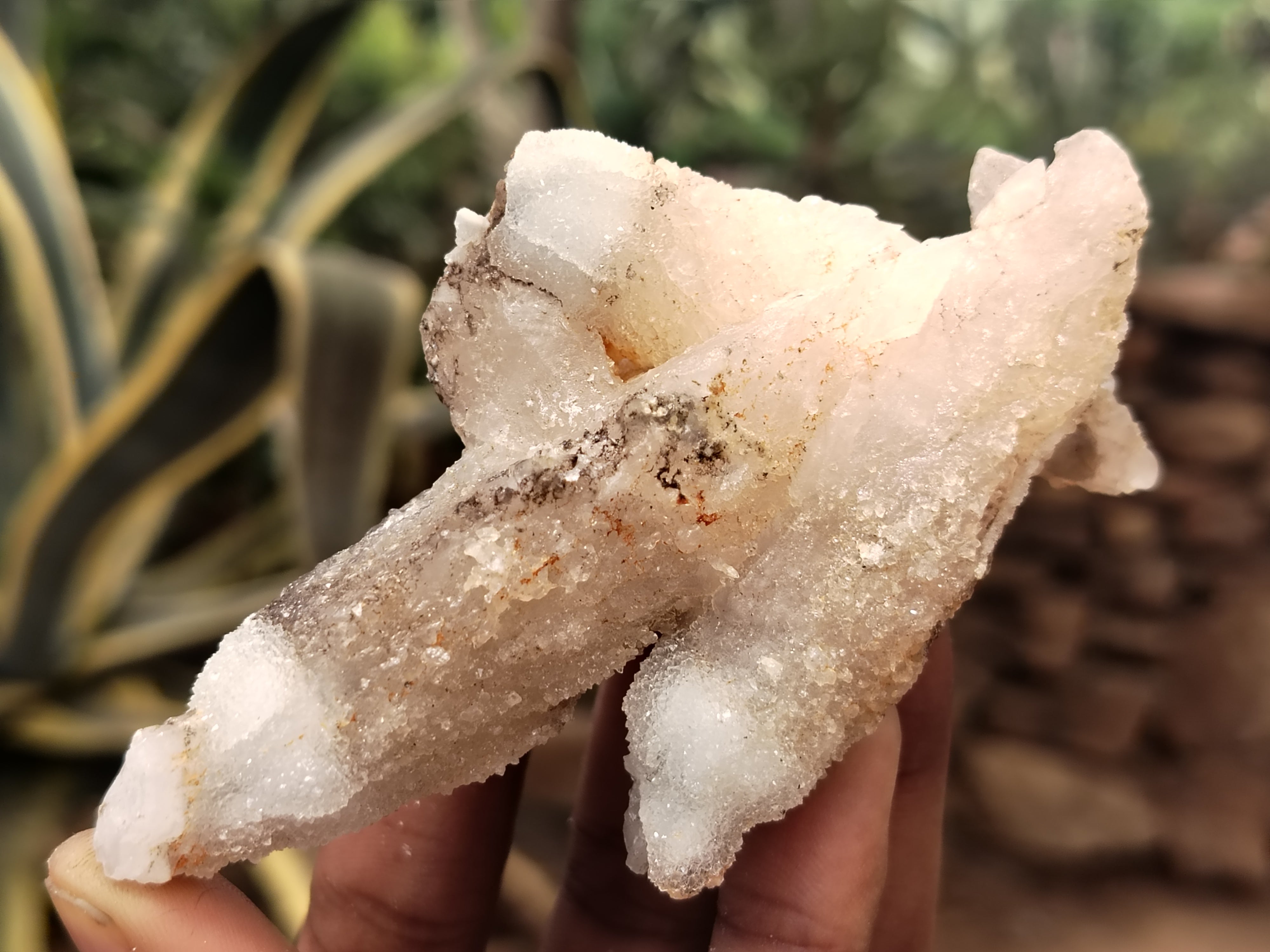 Natural Drusy Quartz Coated Calcite Pseudomorph Specimens x 12 From Alberts Mountain, Lesotho