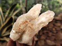 Natural Drusy Quartz Coated Calcite Pseudomorph Specimens x 12 From Alberts Mountain, Lesotho