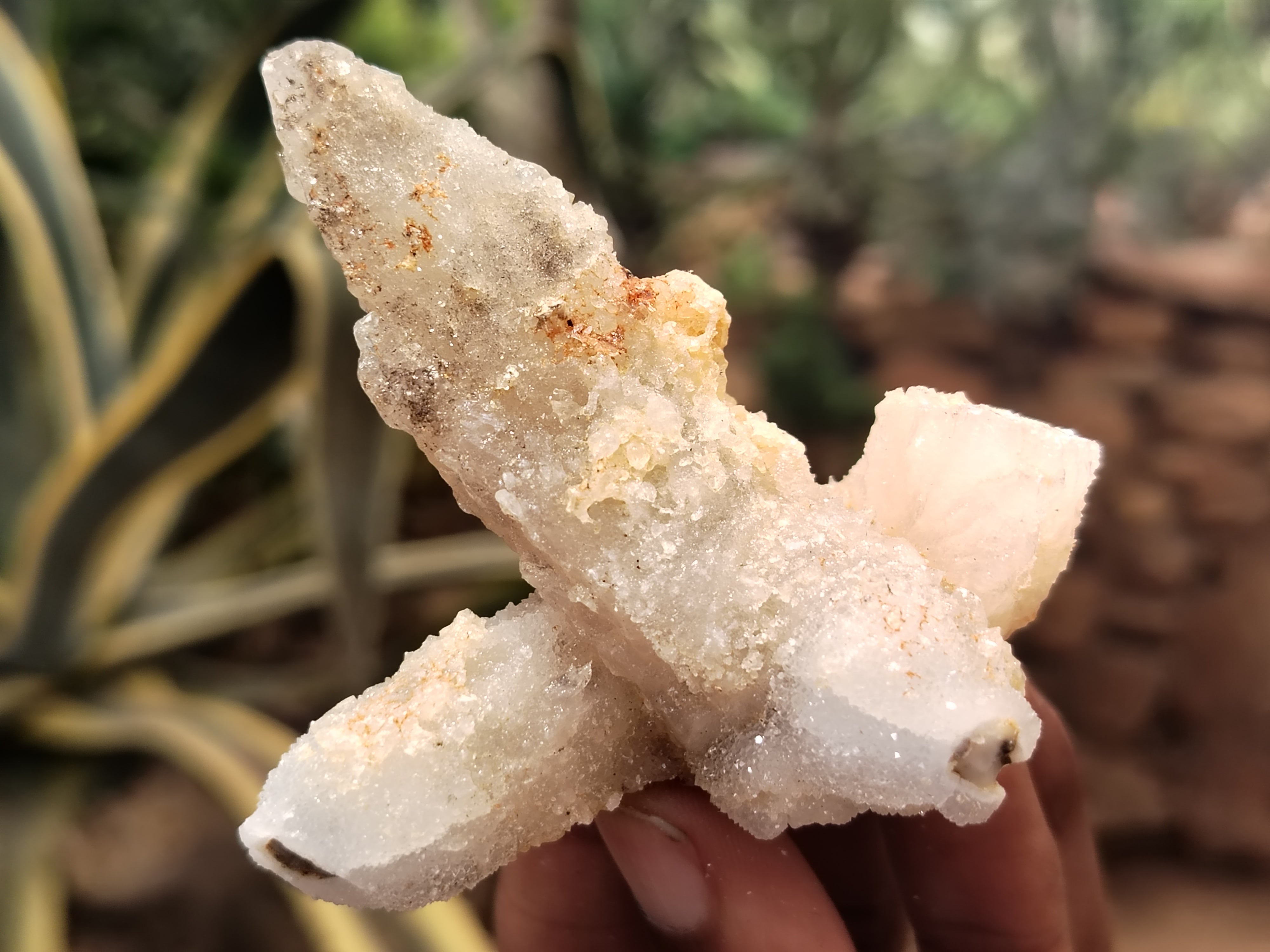 Natural Drusy Quartz Coated Calcite Pseudomorph Specimens x 12 From Alberts Mountain, Lesotho