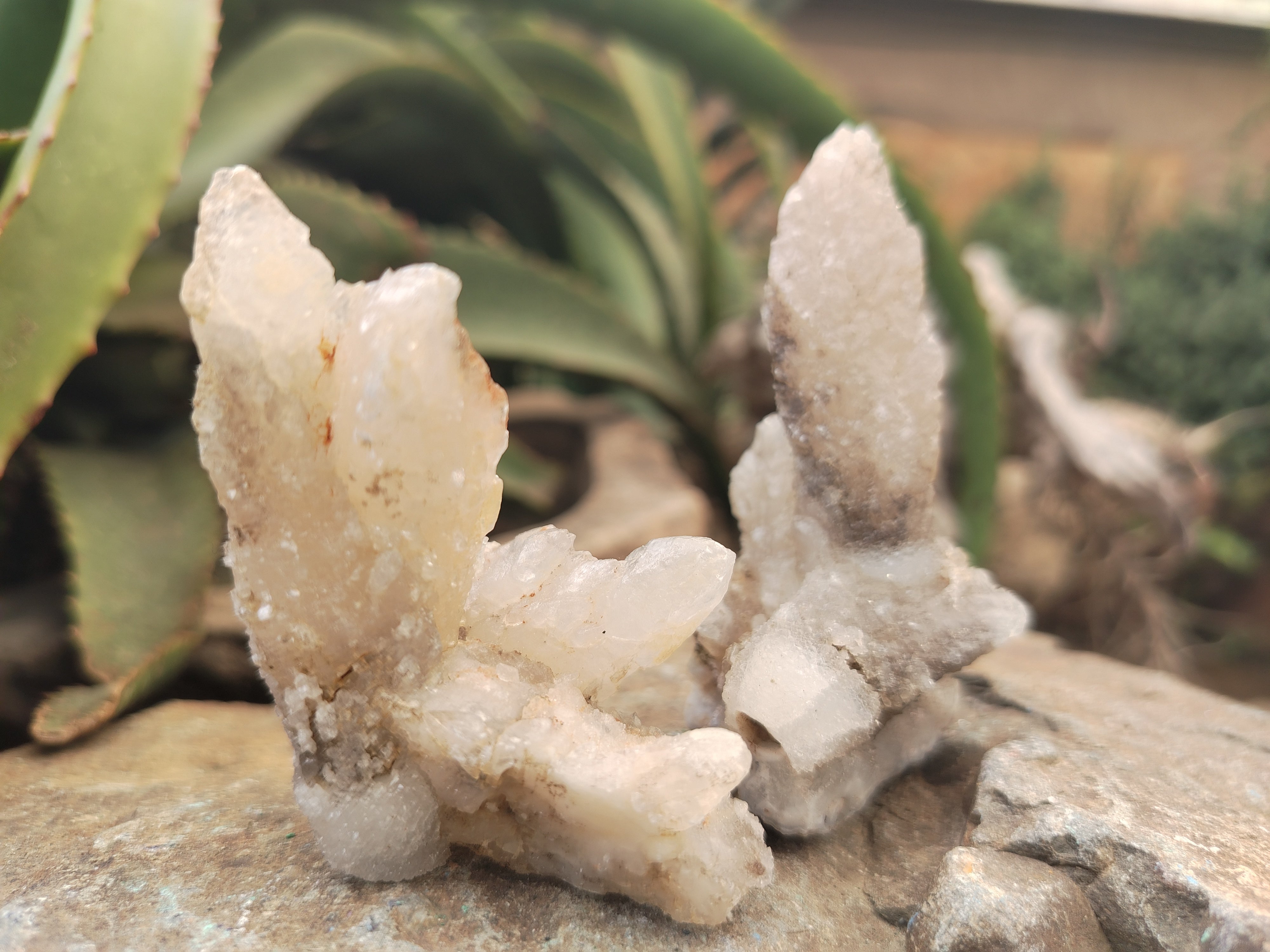 Natural Drusy Quartz Coated Calcite Pseudomorph Specimens x 12 From Alberts Mountain, Lesotho