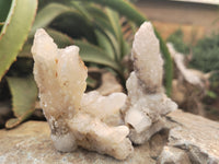 Natural Drusy Quartz Coated Calcite Pseudomorph Specimens x 12 From Alberts Mountain, Lesotho