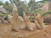 Natural Drusy Quartz Coated Calcite Pseudomorph Specimens x 12 From Alberts Mountain, Lesotho