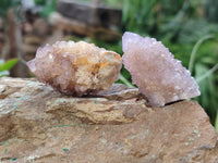 Natural Mixed Spirit Quartz Clusters x 23 From Boekenhouthoek, South Africa