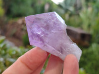 Natural Jacaranda Amethyst Single Quartz Crystals x 24 from Mumbwa, Zambia