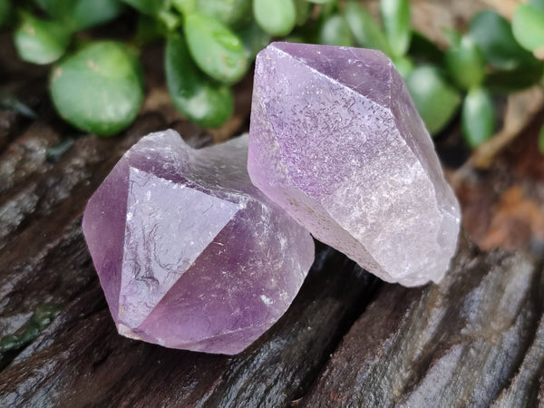 Natural Jacaranda Amethyst Single Quartz Crystals x 24 from Mumbwa, Zambia