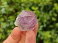 Natural Jacaranda Amethyst Single Quartz Crystals x 24 from Mumbwa, Zambia