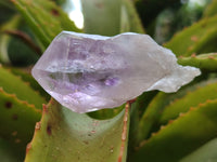 Natural Jacaranda Amethyst Single Quartz Crystals x 24 from Mumbwa, Zambia