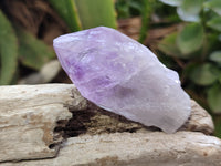 Natural Jacaranda Amethyst Single Quartz Crystals x 24 from Mumbwa, Zambia