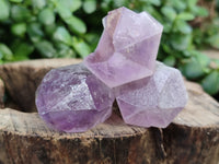 Natural Jacaranda Amethyst Single Quartz Crystals x 24 from Mumbwa, Zambia