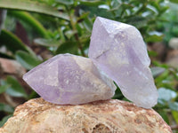 Natural Jacaranda Amethyst Single Quartz Crystals x 24 from Mumbwa, Zambia