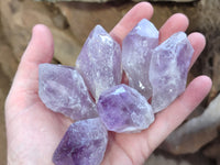 Natural Jacaranda Amethyst Single Quartz Crystals x 24 from Mumbwa, Zambia