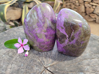 Polished Stichtite Standing Free Forms x 2 From Barberton, South Africa